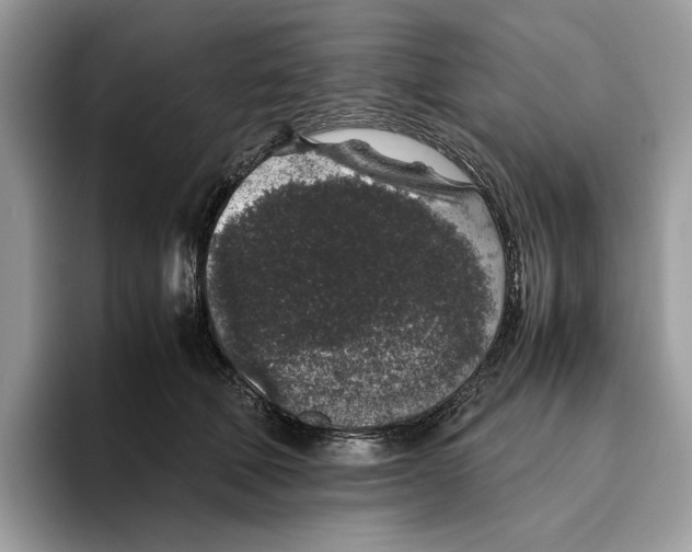 X0000095950610200802011103