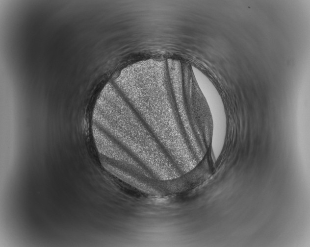 X0000095950613200802011103