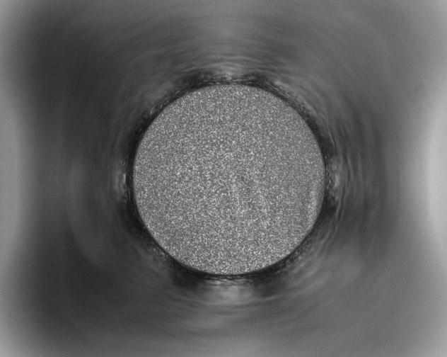 X0000095950615200802011103