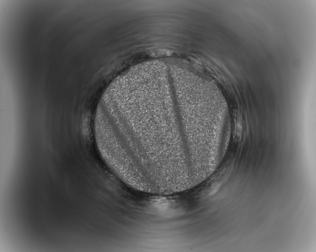 X0000095950616200802011103