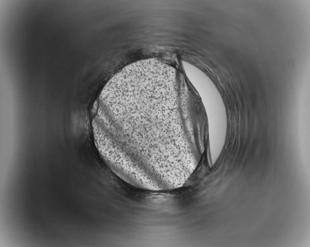 X0000095950617200802011103