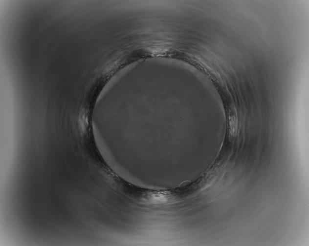 X0000095950618200802011103