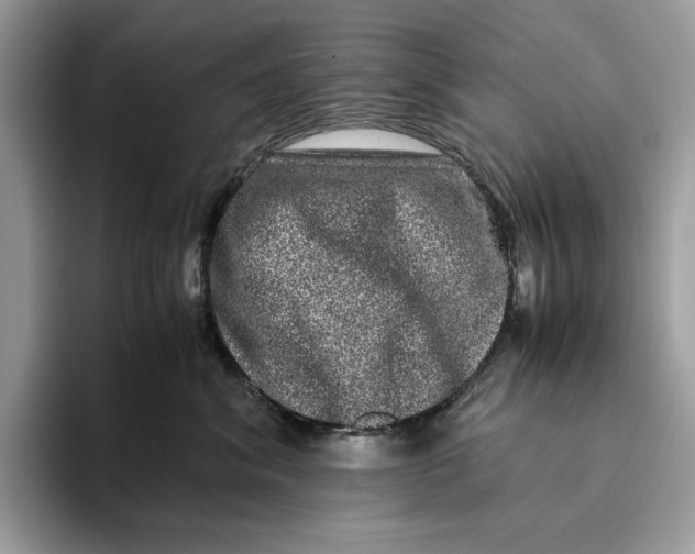 X0000095950620200802011103