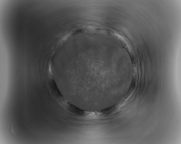 X0000095950621200802011103