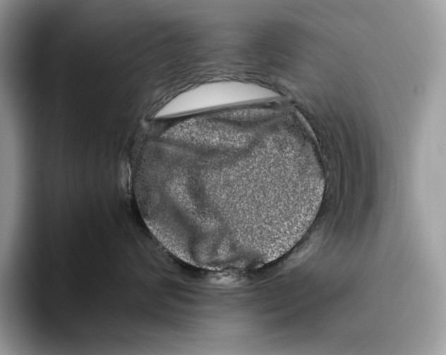 X0000095950624200802011103