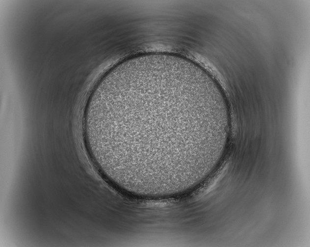 X0000095950625200802011102