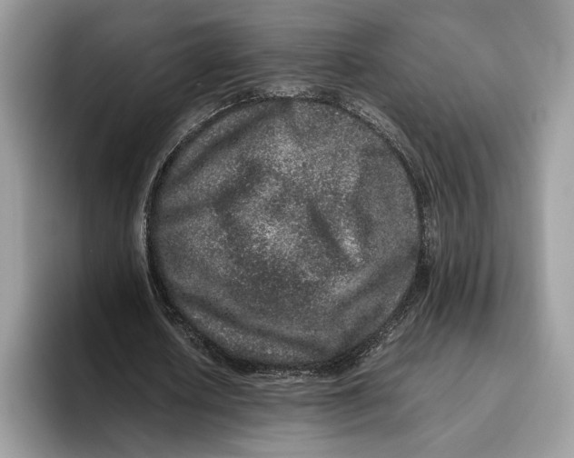 X0000095950626200802011102