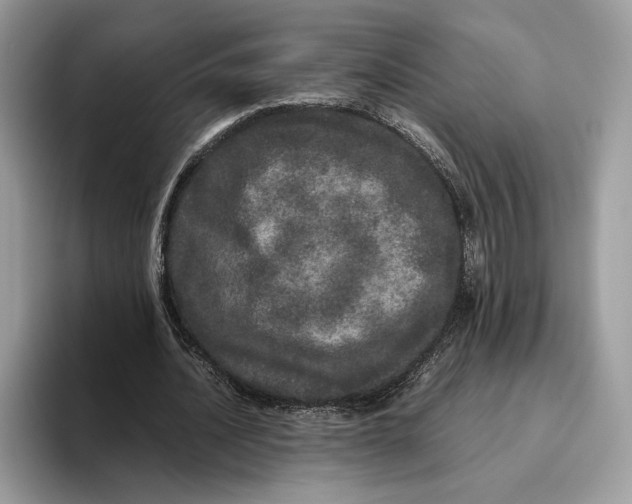 X0000095950628200802011102