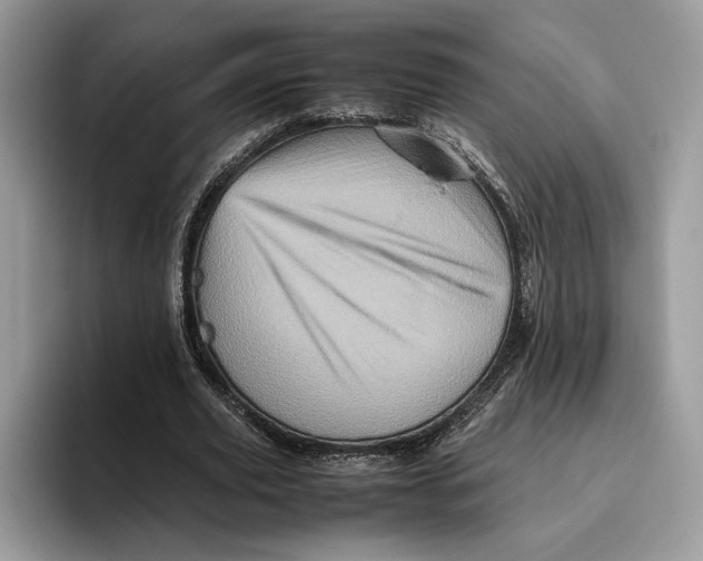 X0000095950629200802011102