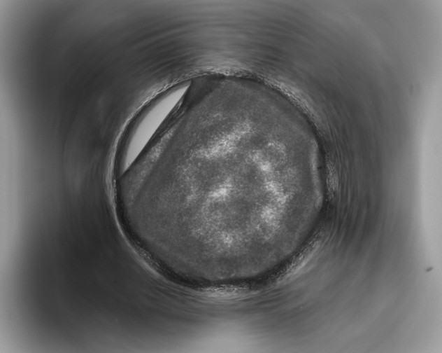 X0000095950630200802011102