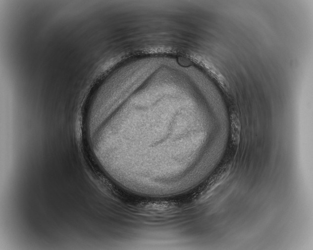 X0000095950631200802011102