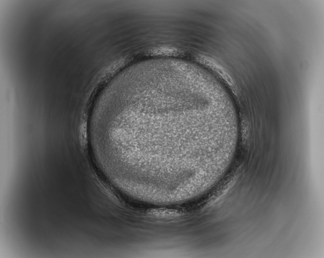 X0000095950633200802011102