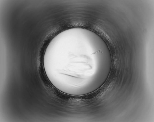 X0000095950635200802011102