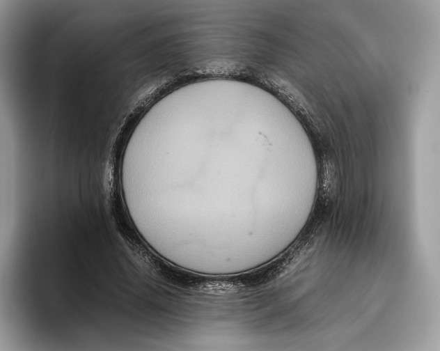 X0000095950636200802011102