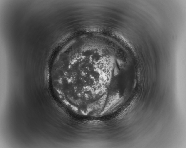 X0000095950637200802011102