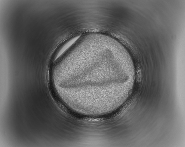 X0000095950638200802011102