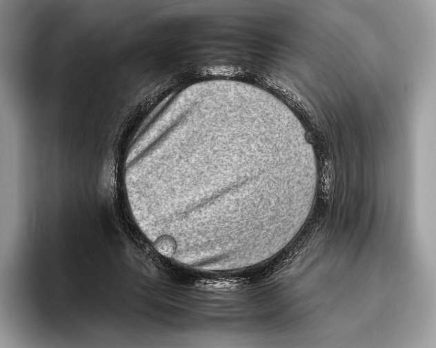 X0000095950639200802011102