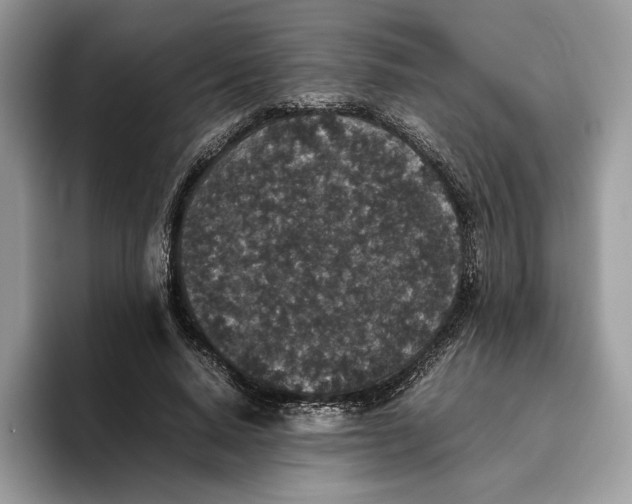 X0000095950640200802011102