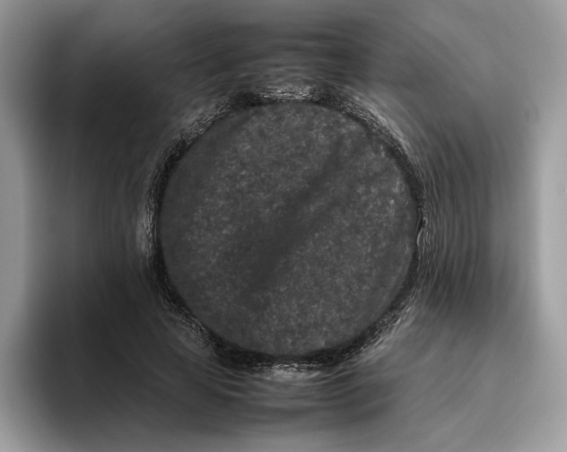 X0000095950641200802011102