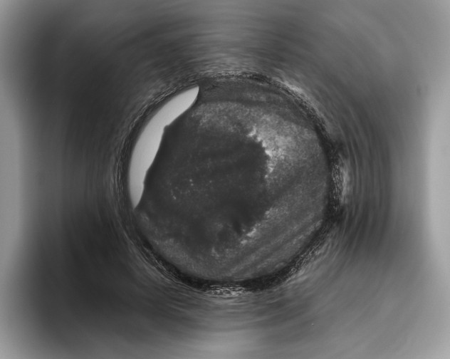 X0000095950642200802011102