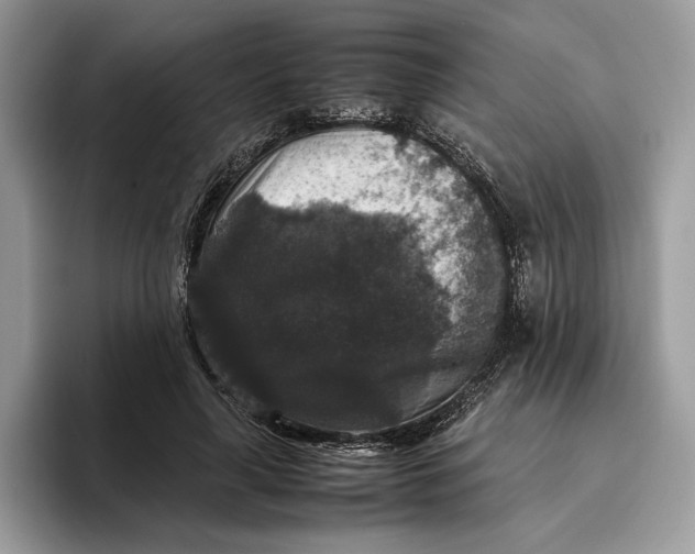 X0000095950643200802011102