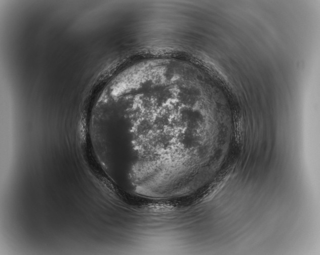 X0000095950644200802011102