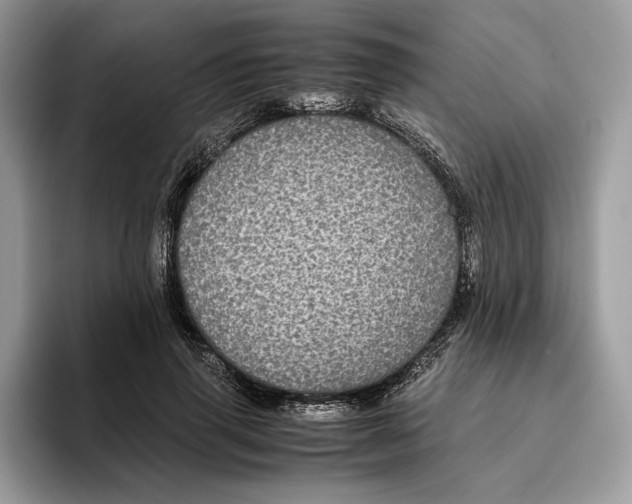 X0000095950645200802011102