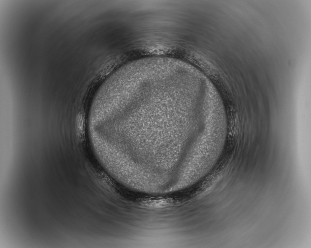 X0000095950646200802011102