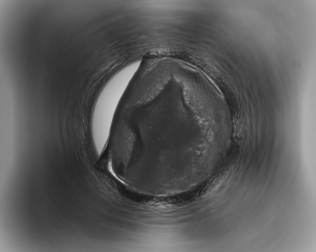 X0000095950648200802011103