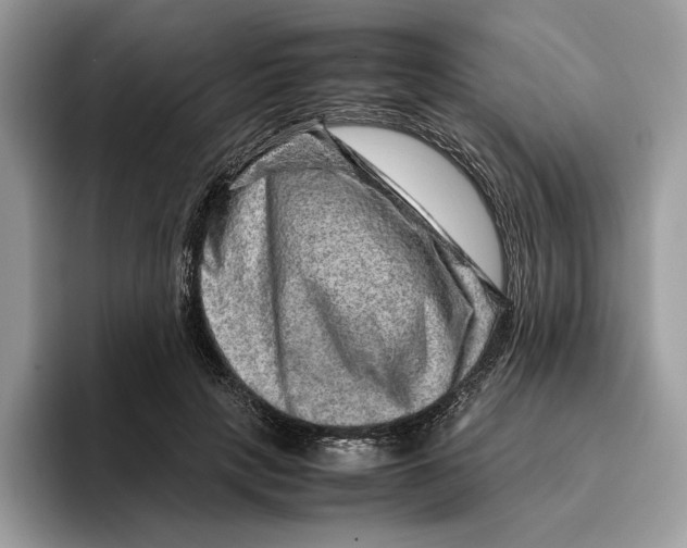 X0000095950649200802011103