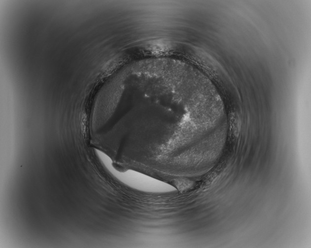 X0000095950650200802011103