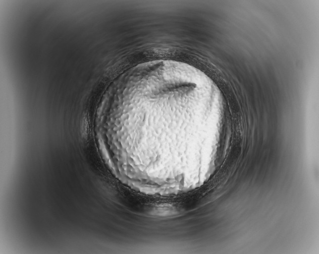 X0000095950651200802011103