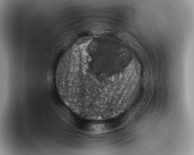 X0000095950653200802011103