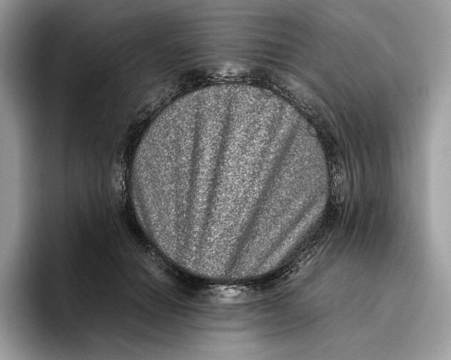 X0000095950654200802011103