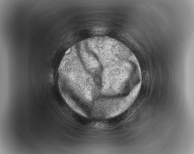 X0000095950655200802011103