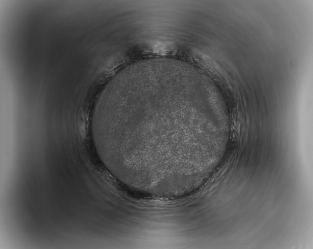 X0000095950656200802011103