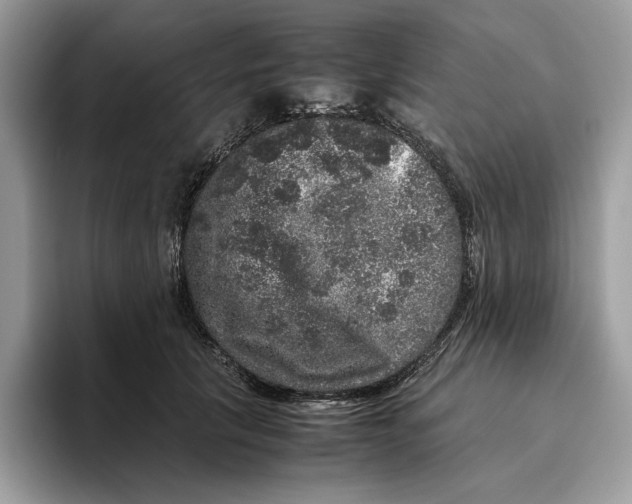 X0000095950657200802011103