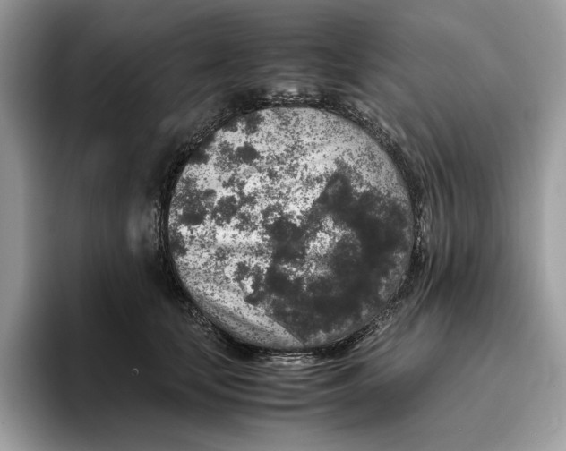 X0000095950659200802011103