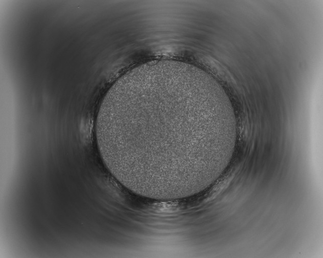 X0000095950660200802011103