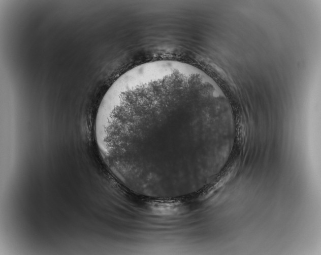 X0000095950661200802011103