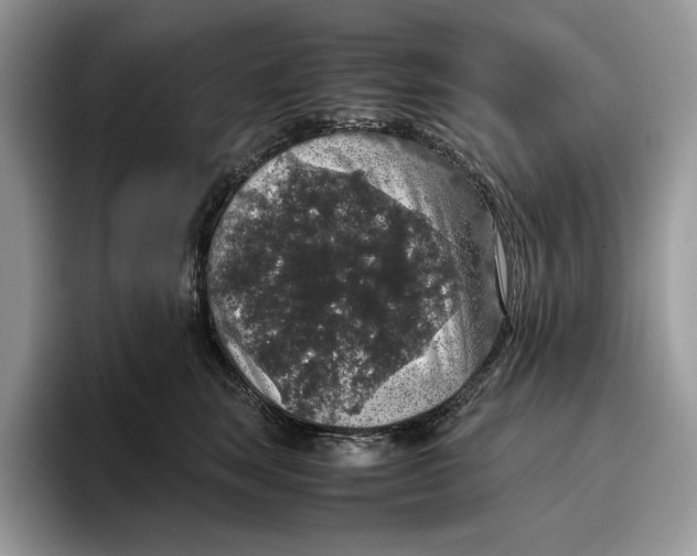 X0000095950663200802011103