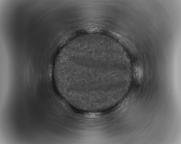 X0000095950664200802011103