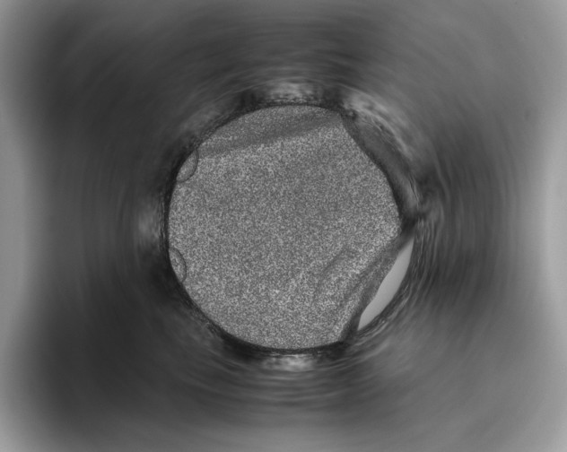 X0000095950665200802011103