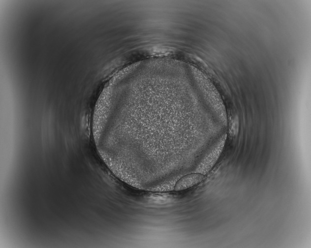 X0000095950666200802011103