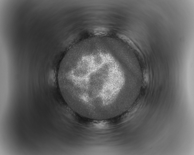 X0000095950667200802011103