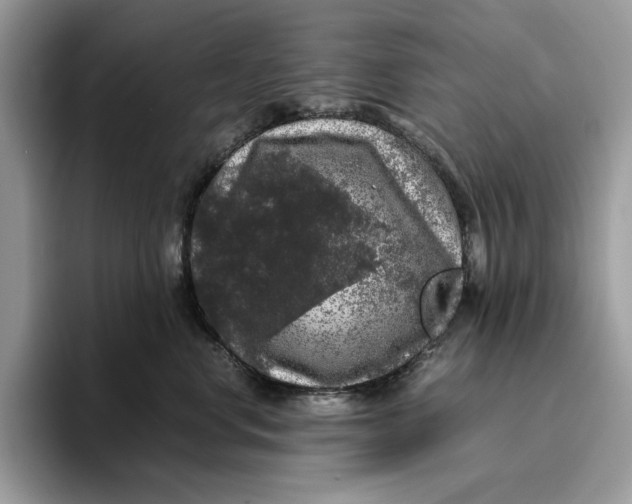 X0000095950668200802011103