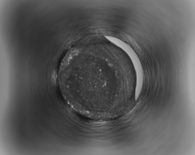 X0000095950669200802011103