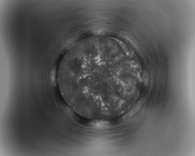 X0000095950670200802011103