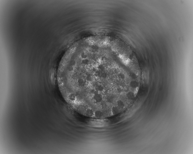 X0000095950671200802011103