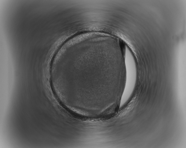 X0000095950673200802011102